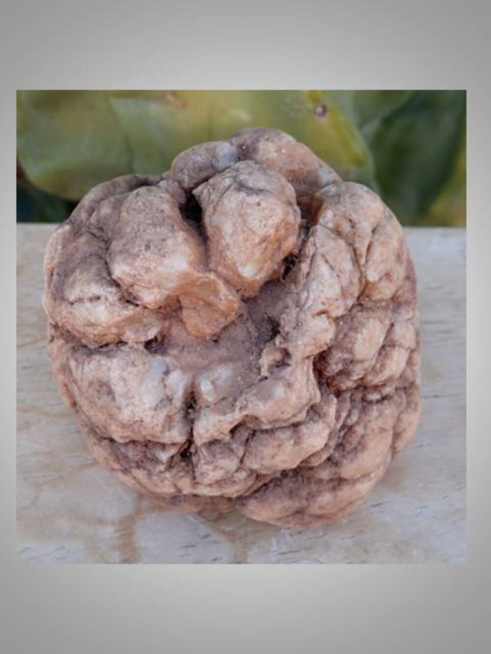 pinecone shaped rock stone - Picture 4 of 5
